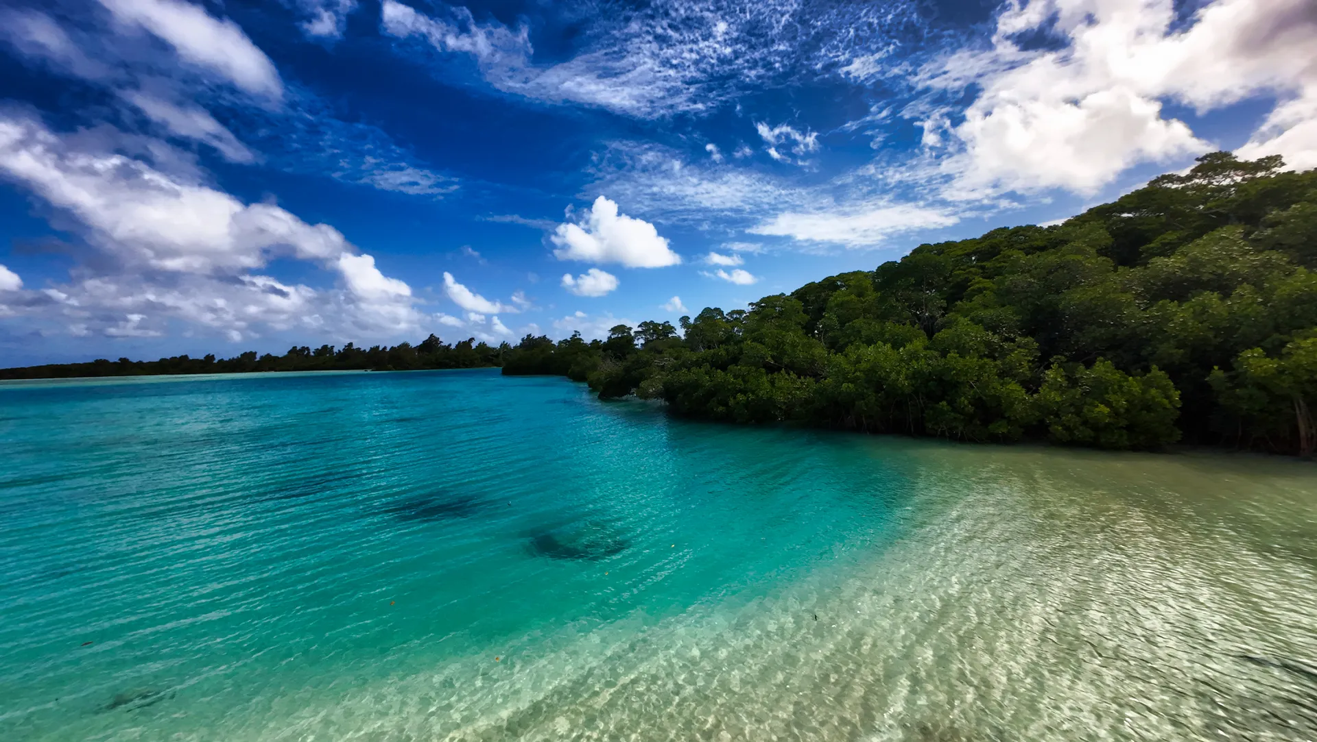 Pristine white sand beach and tropical vegetation at Nawesa Resort Efate Vanuatu