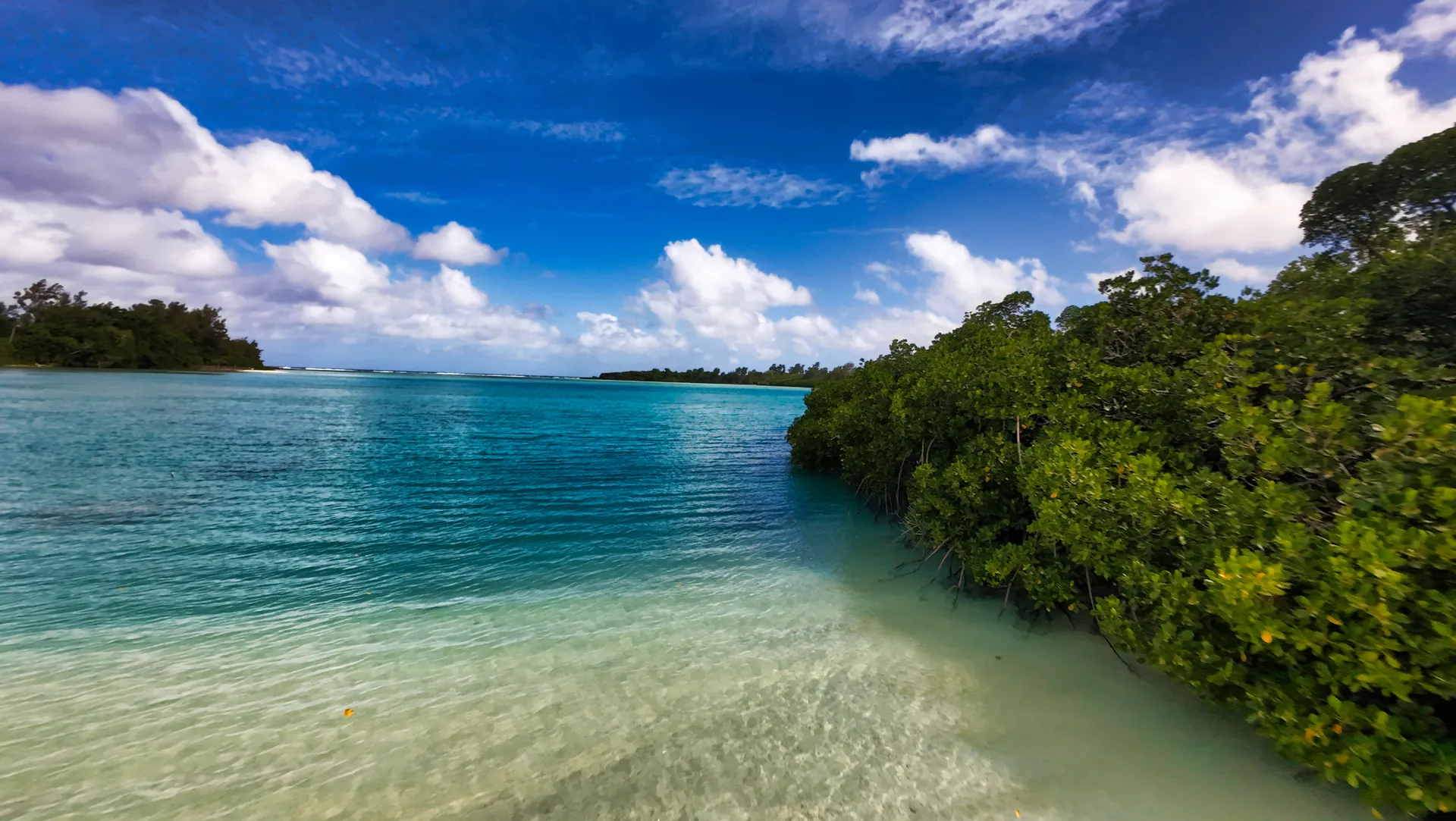 Untouched coastal beach with lush tropical bush at Nawesa beachfront Vanuatu