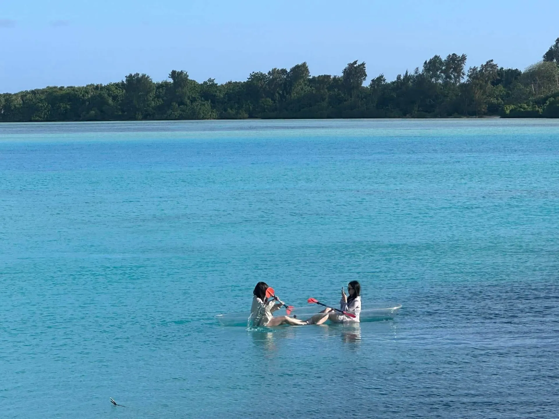 Private Beachfront Paradise