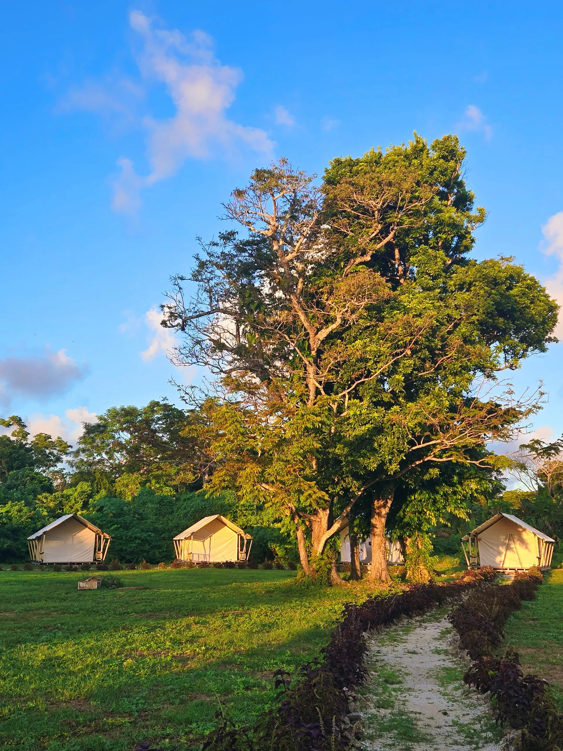 Tropical garden pathway at Nawesa glamping resort Efate Island Vanuatu