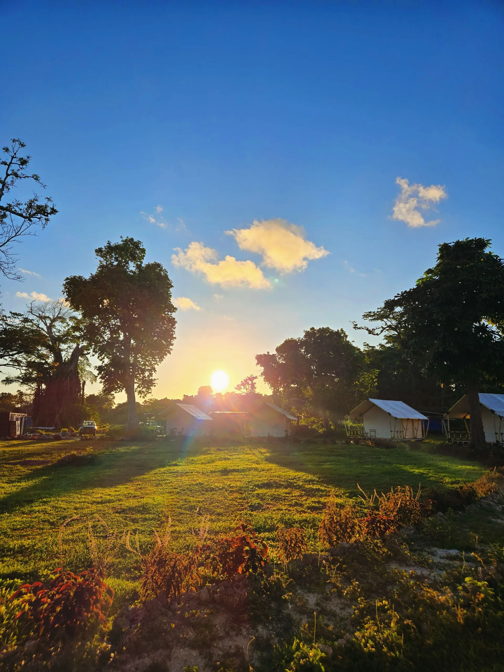 Lush garden surroundings at Nawesa beachfront glamping resort Vanuatu