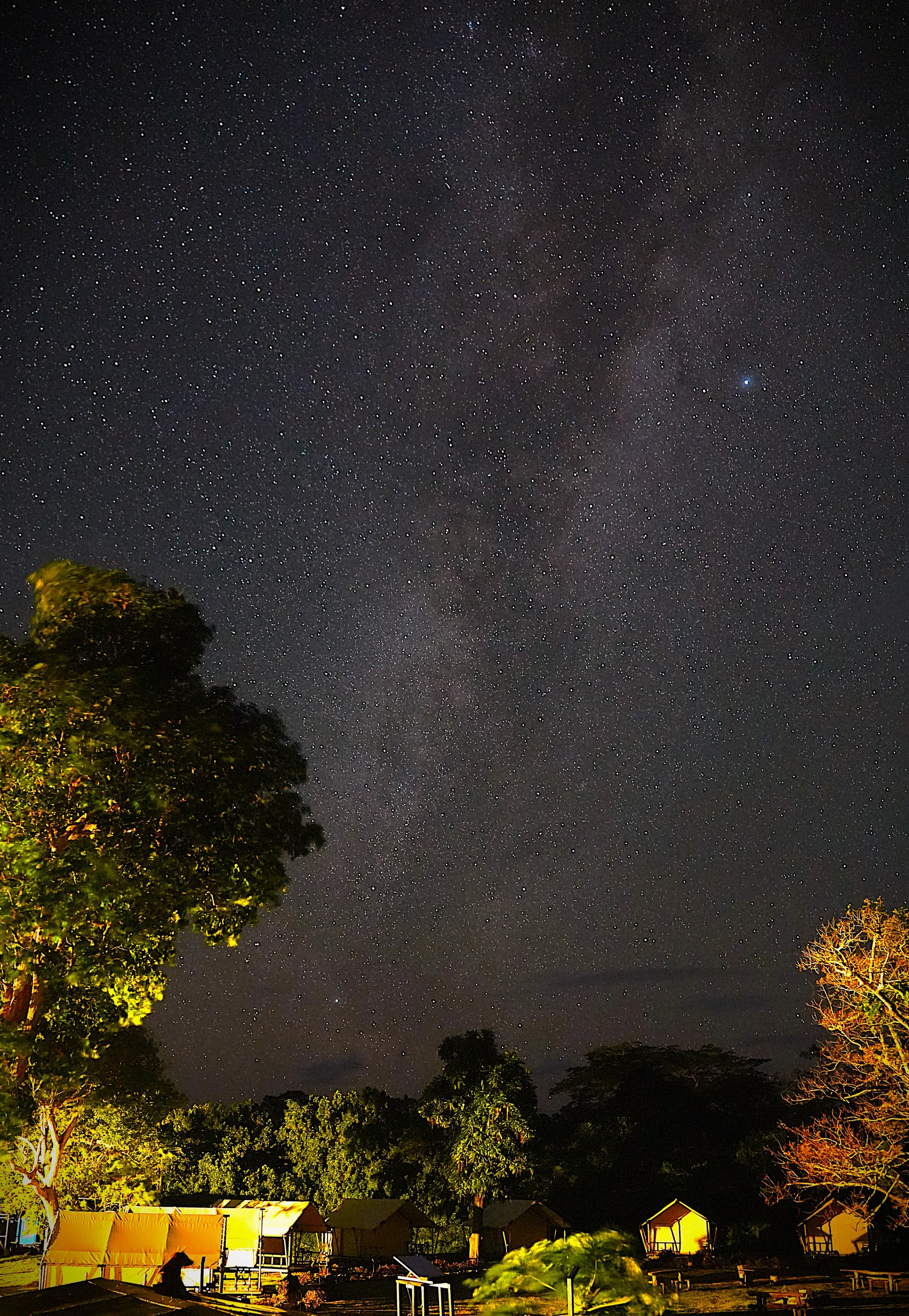 Glamping tents under Milky Way