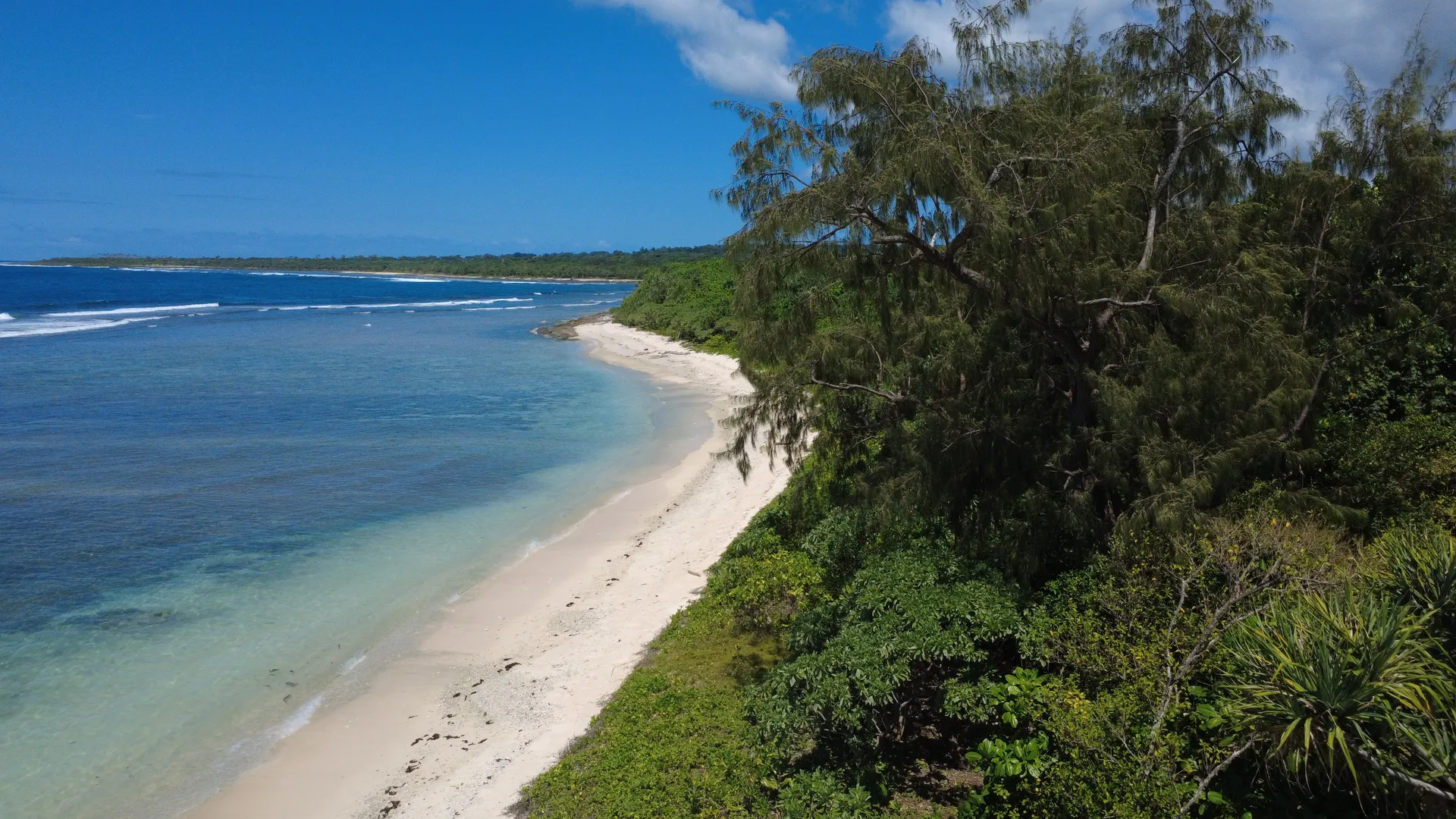 Pristine white sand beach coastline