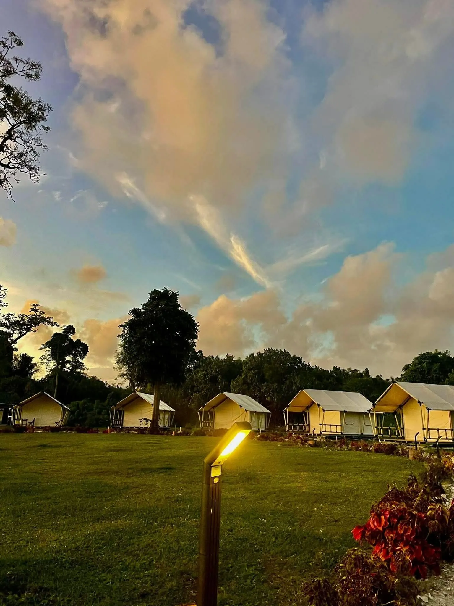 Surrounded by Nature